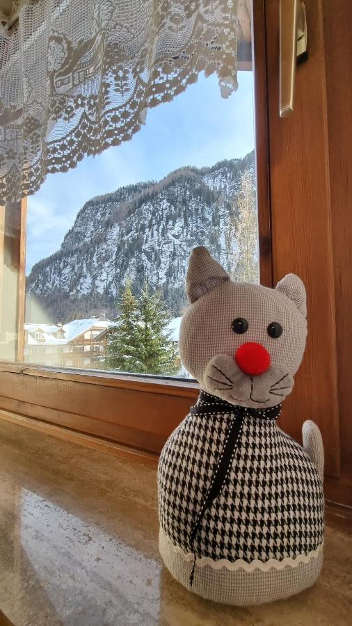 캄피텔로디파사 Cesa Pier Sellaronda Dolomiti 아파트 외부 사진
