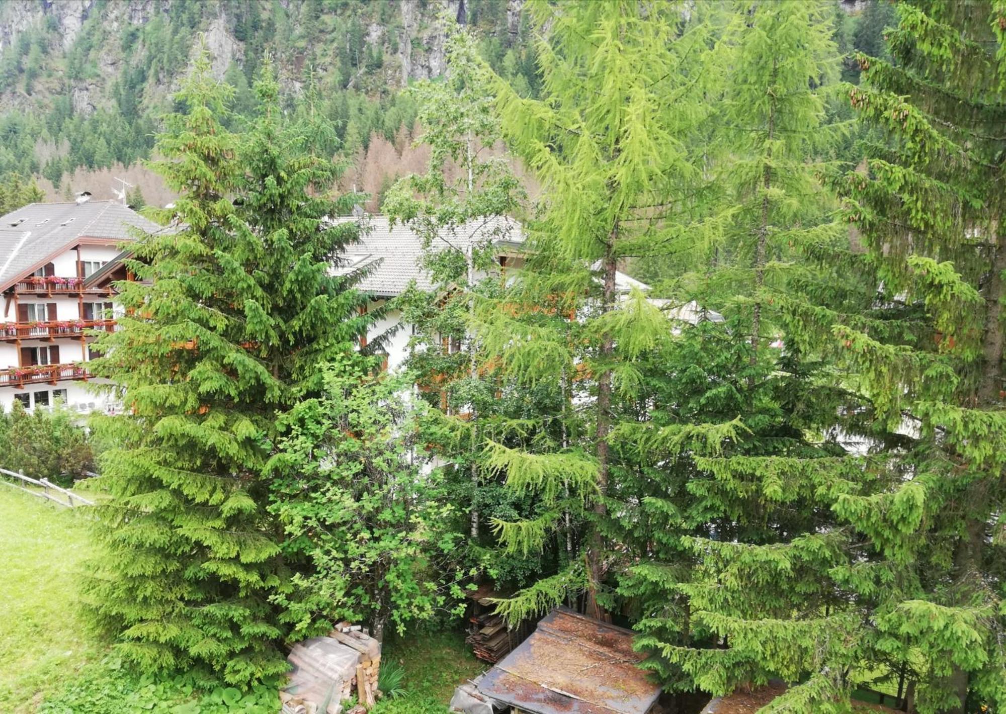 캄피텔로디파사 Cesa Pier Sellaronda Dolomiti 아파트 외부 사진
